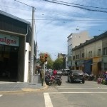 Pulgas_1