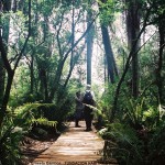 Sendero de los Helechos enRN Ao. Ayuí Grande