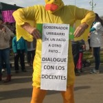 pato docente
