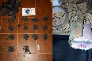 Secuestraron más de 200 envoltorios de marihuana