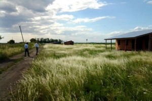 Campo expropiado