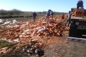 1 Un camión volcó su carga de ladrillos en la ruta