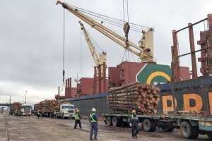 En los puertos de Ibicuy y Uruguay se completó la carga de tres buques en el