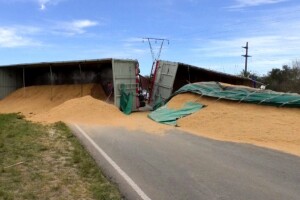 Volcó un camión cargado de cáscaras de arroz en la