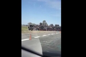 Un camión cargado con maderas volcó en