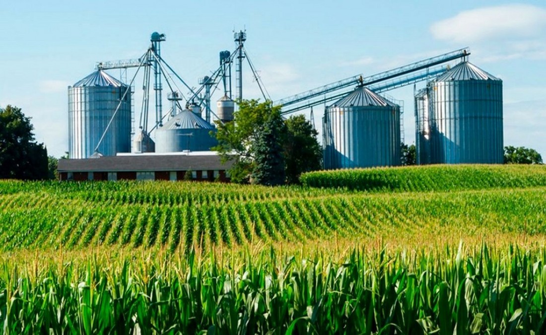 Febrero registró una caída de la actividad agroindustrial