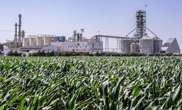 El debate en el Congreso parece encaminarse hacia una nueva configuración en la producción de biocombustibles